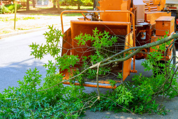  , USA Tree Service Pros